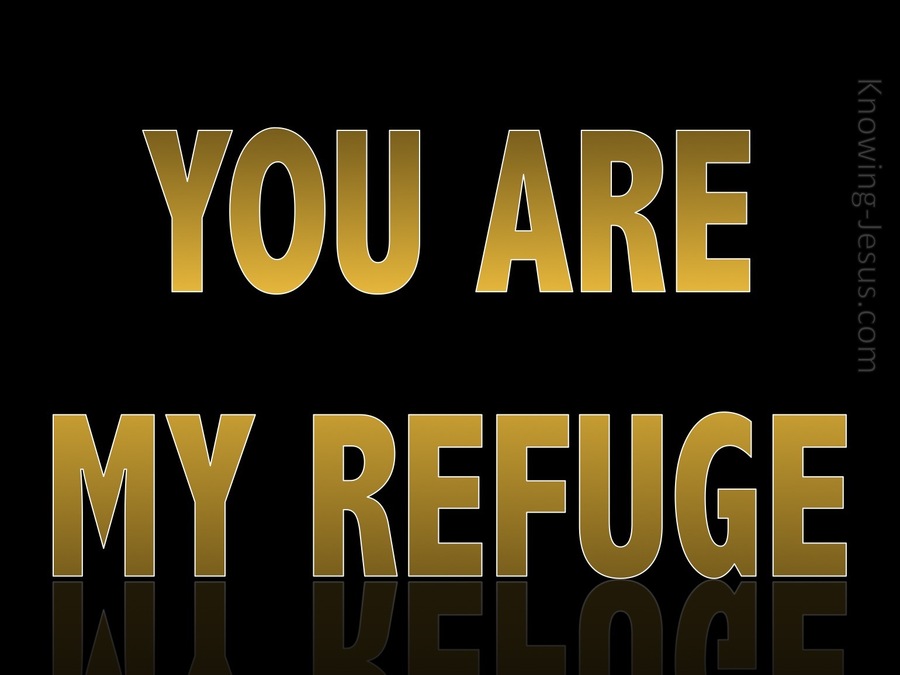 Jeremiah 17:17 You Are My Refuge (gold)